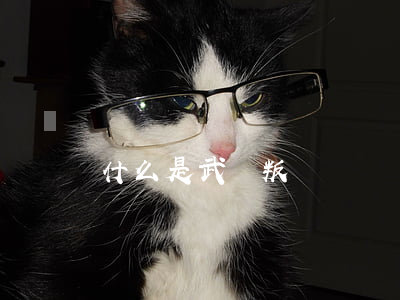 什么是武裝叛亂、暴亂罪